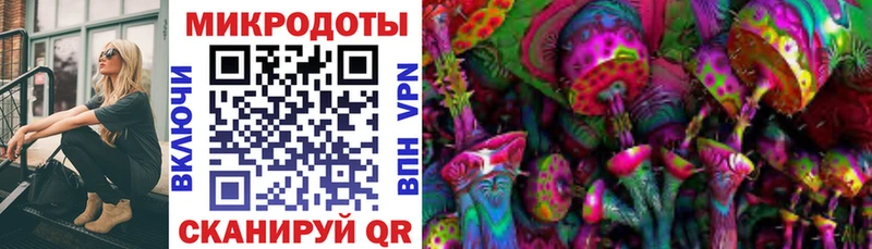 наркошоп  Вязники  Псилоцибиновые грибы Psilocybe 