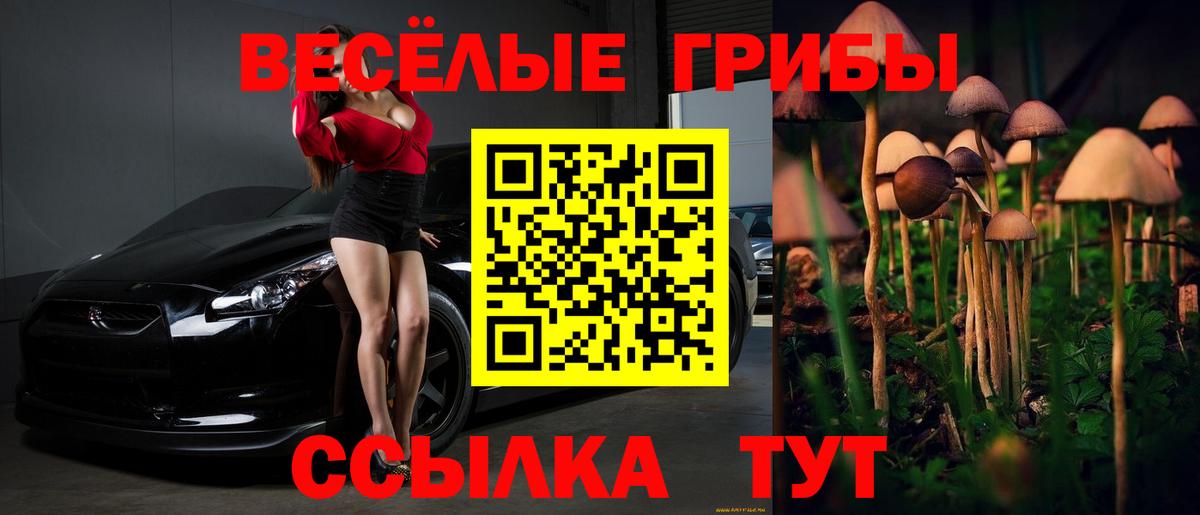 Псилоцибиновые грибы Cubensis Вязники